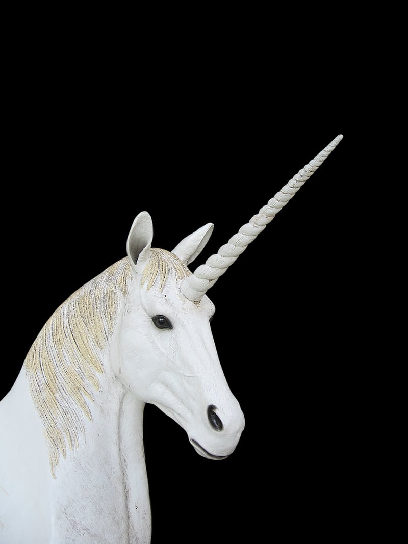 Unicorn Appetizers